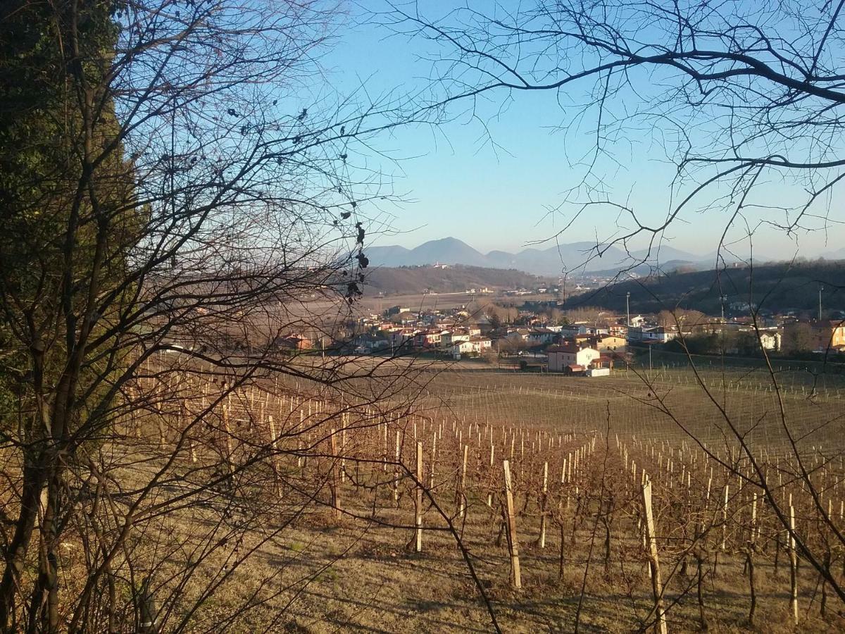 Barbarano VicentinoSesto Senso公寓 外观 照片
